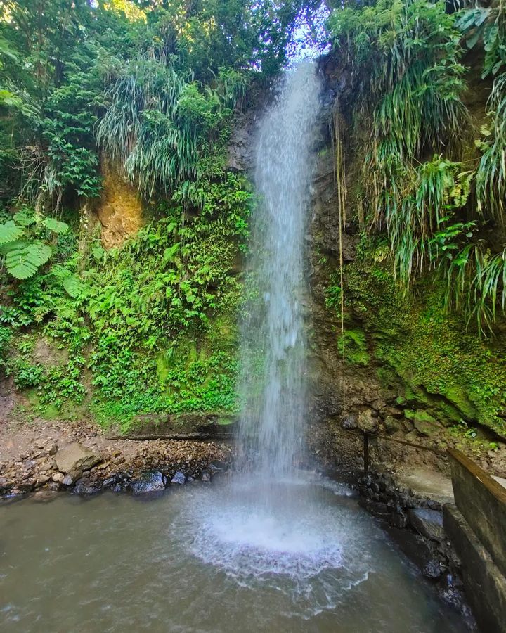Toraille Waterfall pouring into its round pool